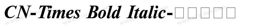 CN-Times Bold Italic字体转换